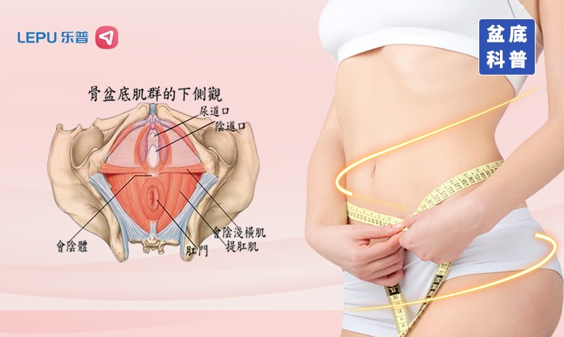 为什么女性一定要做盆底康复？看完就明白了~