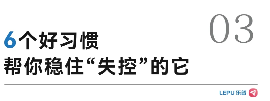 6.webp.jpg
