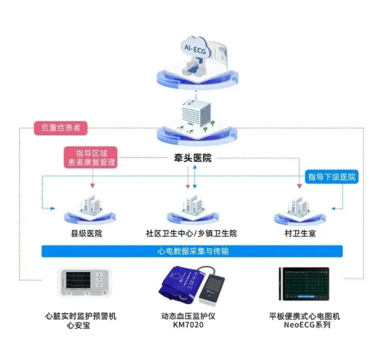 心电一张网 心电一张网